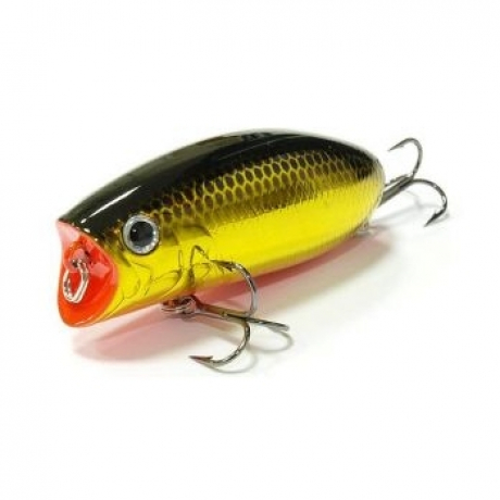 good_id7116 (13).jpg